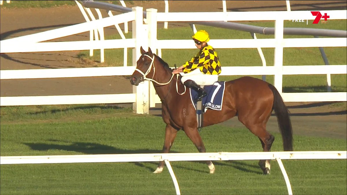 7HorseRacing 🐎 tweet media