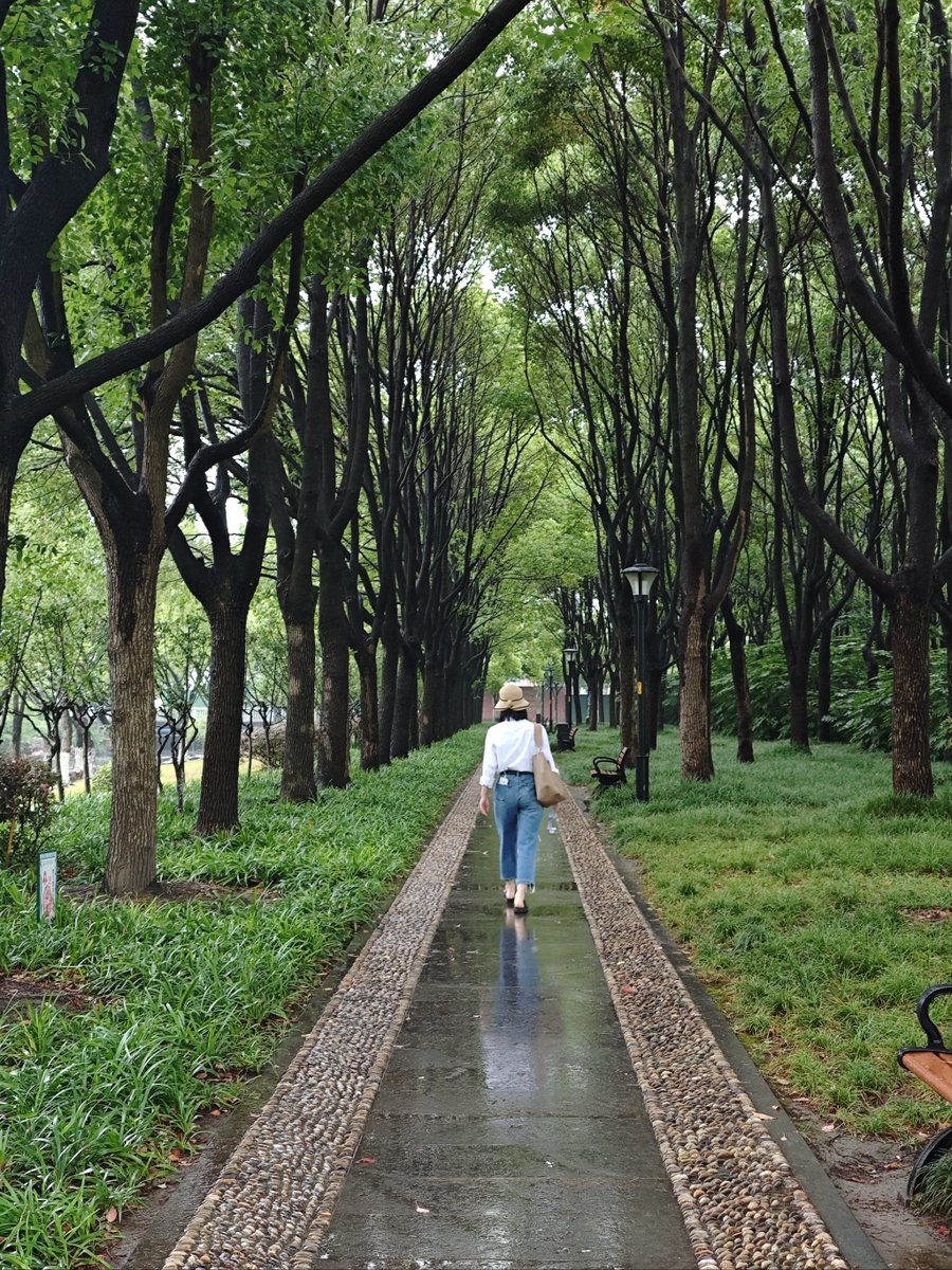 DonBworld's tweet photo. Swapped 30 mins of scrolling for 30 mins of walking—now my steps are up, and my sleep’s way better! https://t.co/sg4JhljdSc