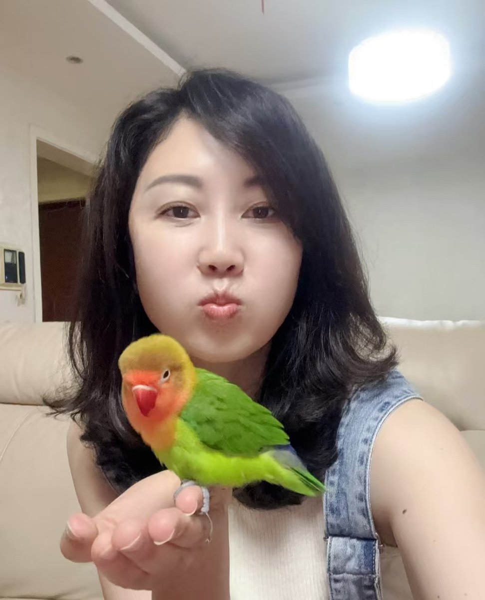 若蘭【國文老師】 tweet media