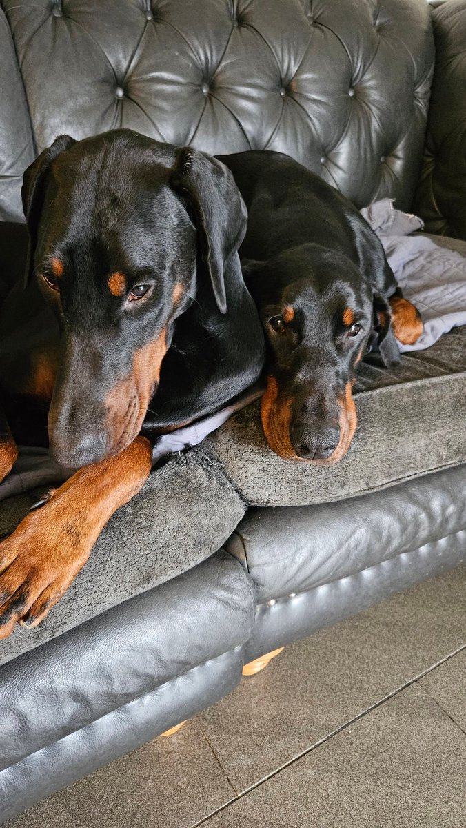 Their day 🤪🤪🤪