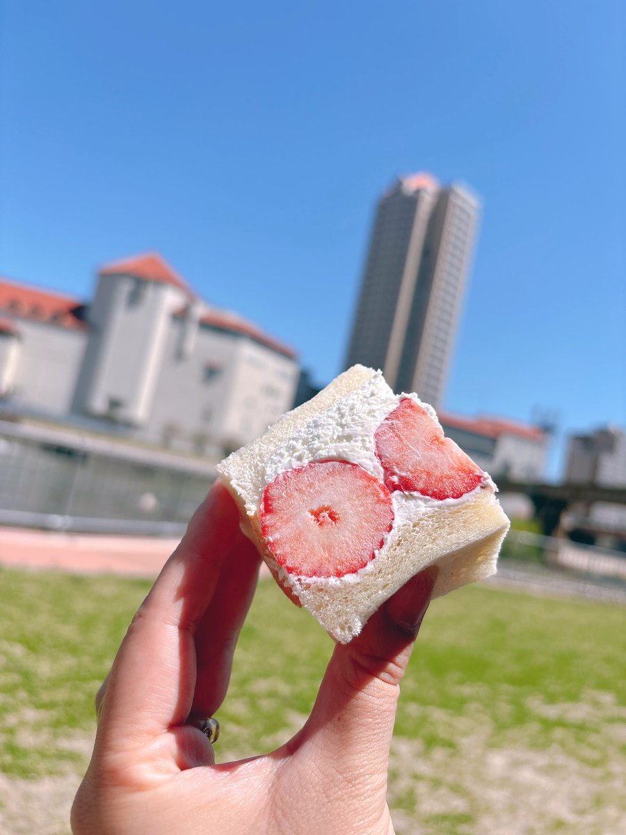 ゆきゃりー🕊5/31インテ参加 tweet media