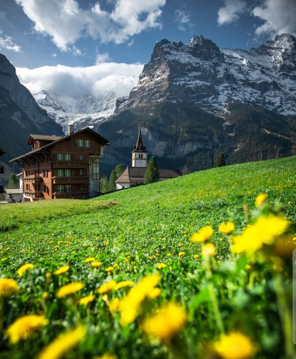 𝘔𝘶𝘳𝘢𝘭𝘪𝘥𝘩𝘢𝘳 𝘒 tweet media