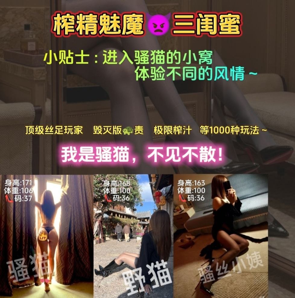 偷吃的骚猫 tweet media