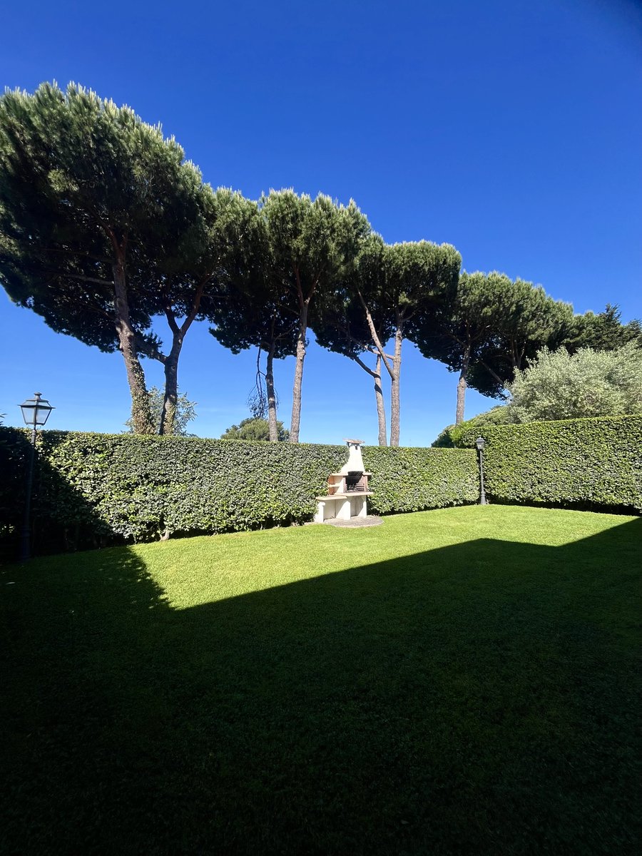 alessandro tweet media