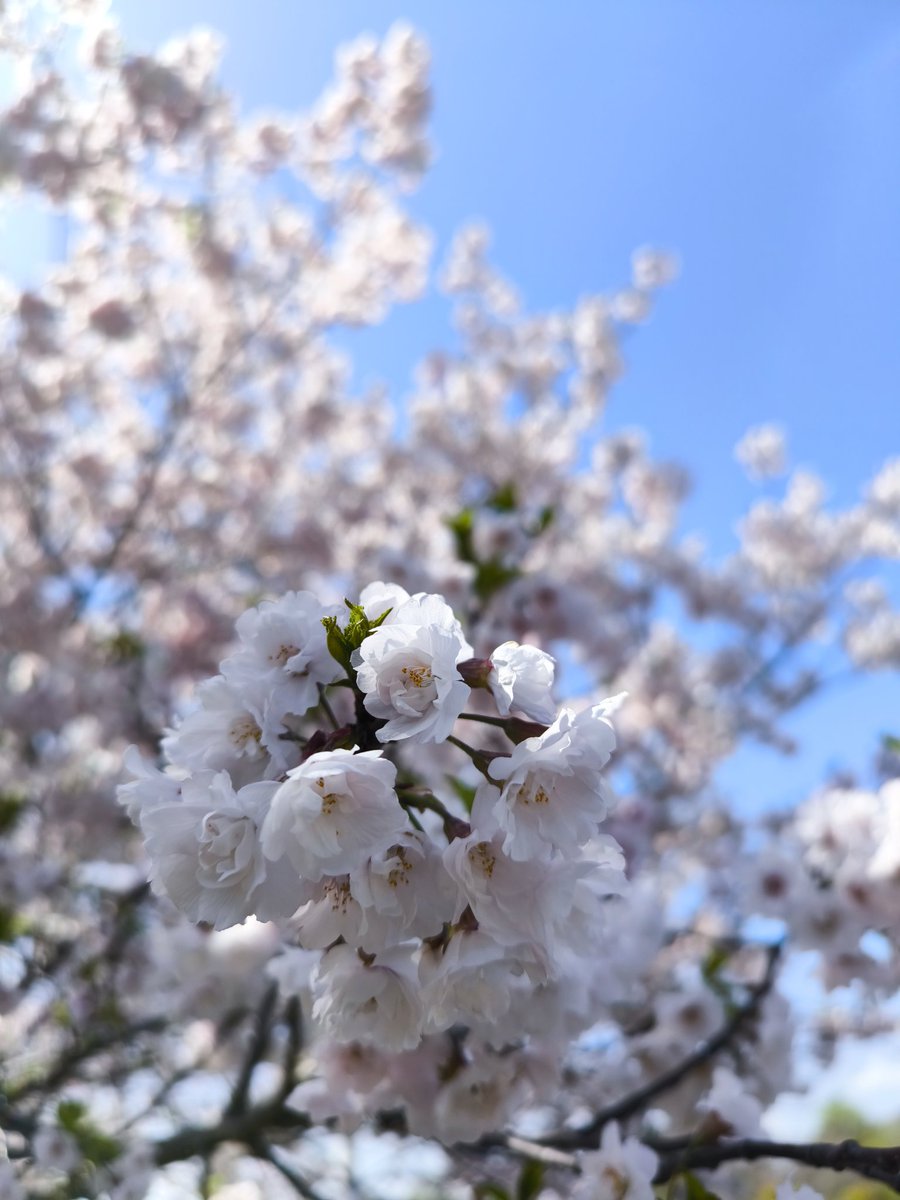 琢次郎@HIDE NEXT 幕張メッセHSvol4 tweet media