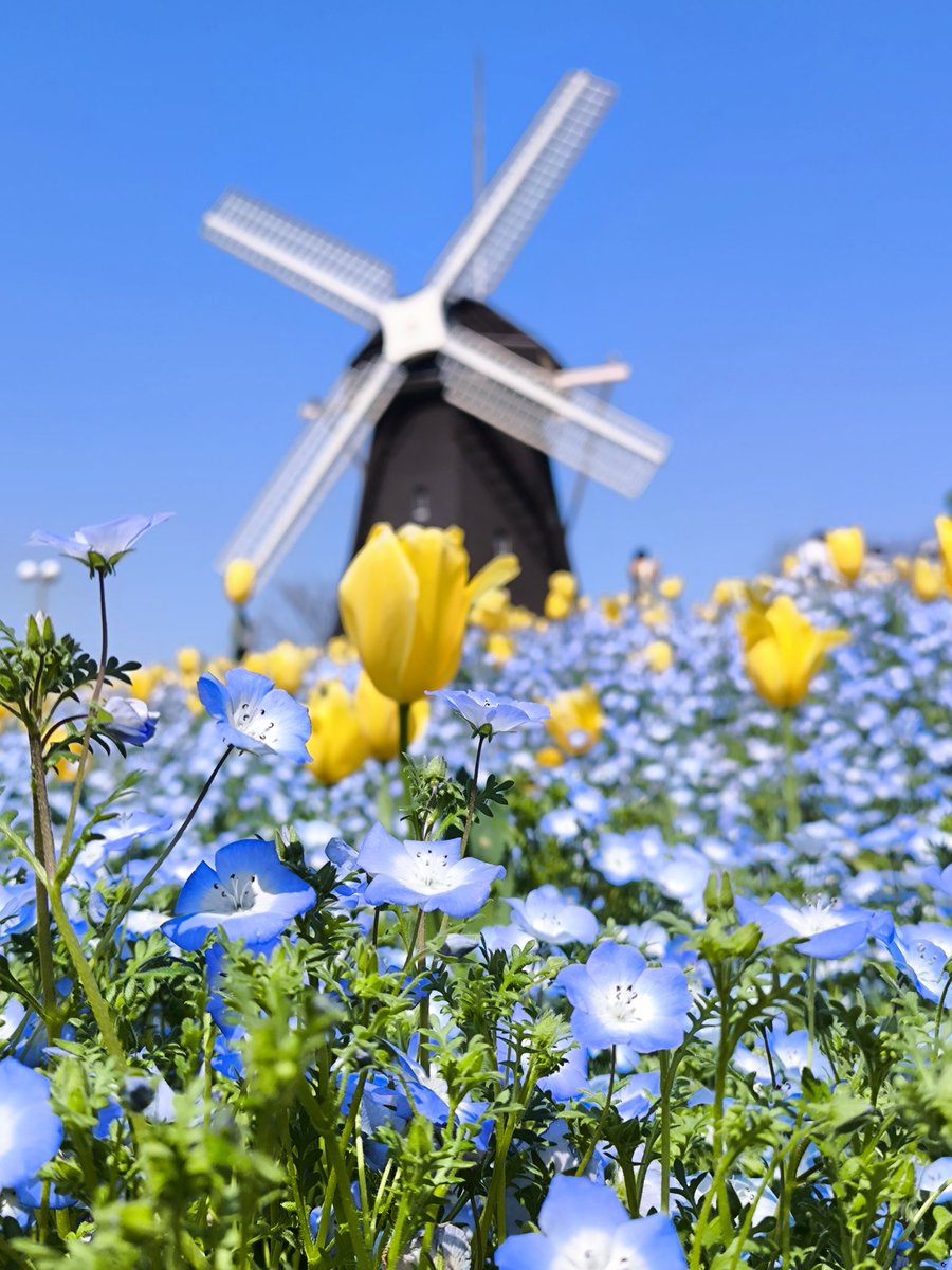 琢次郎@HIDE NEXT 幕張メッセHSvol4 tweet media