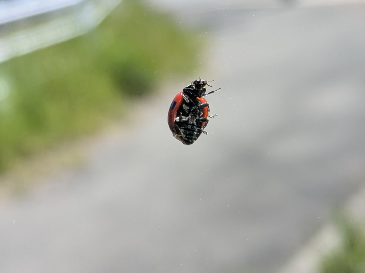 すなっち tweet media