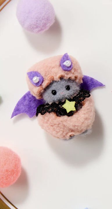 kayle. mt aft dm tweet media