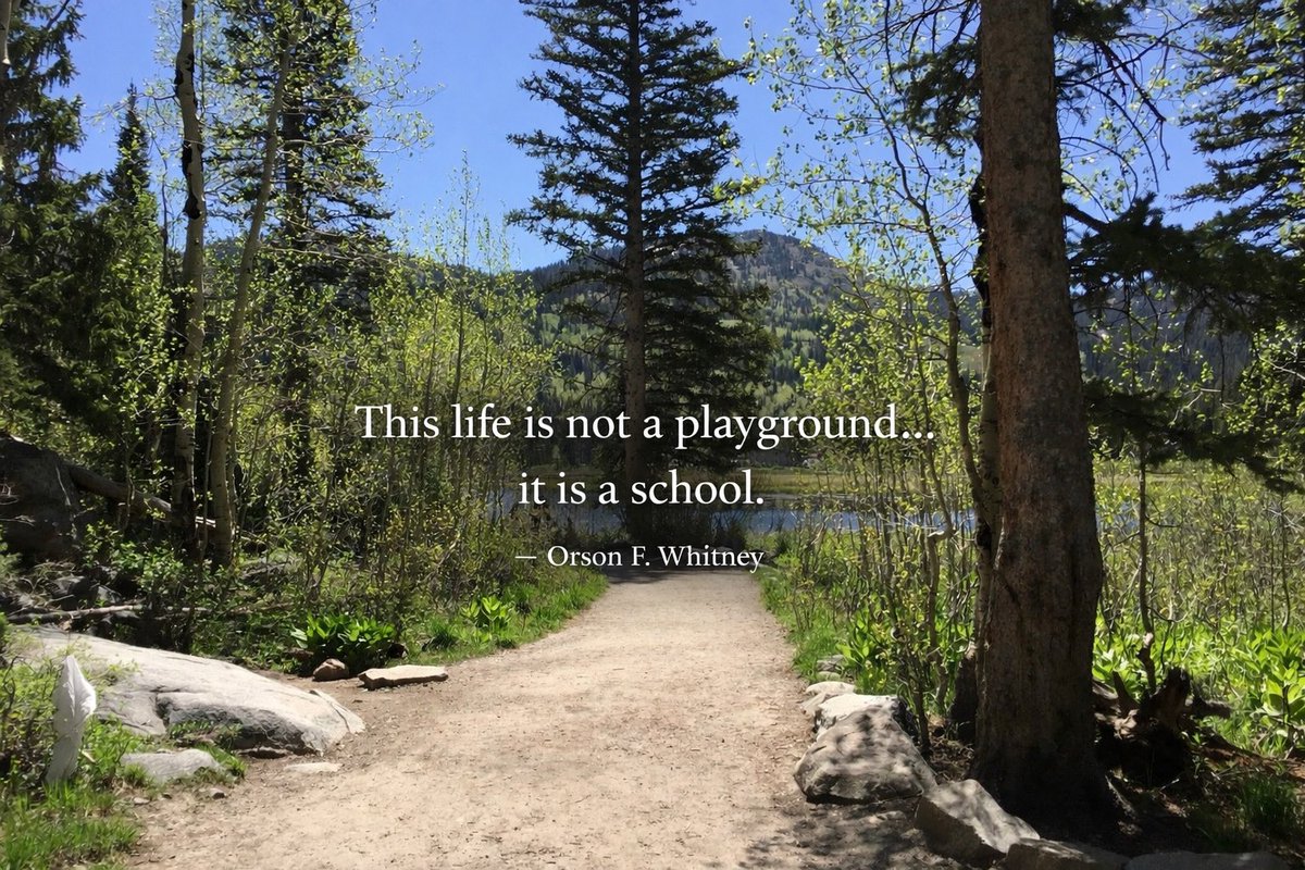 Tabb Clements tweet media