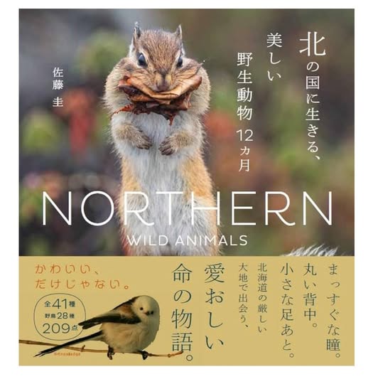 slashslashphoto's tweet image. あと、2週間で発売です♪わくわく・・・
北の国に生きる、美しい野生動物12カ月 amzn.asia/d/0eSvnCHO #Amazon @Amazonより