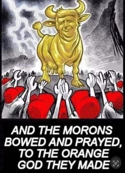 Adam 💙 🇺🇸 tweet media