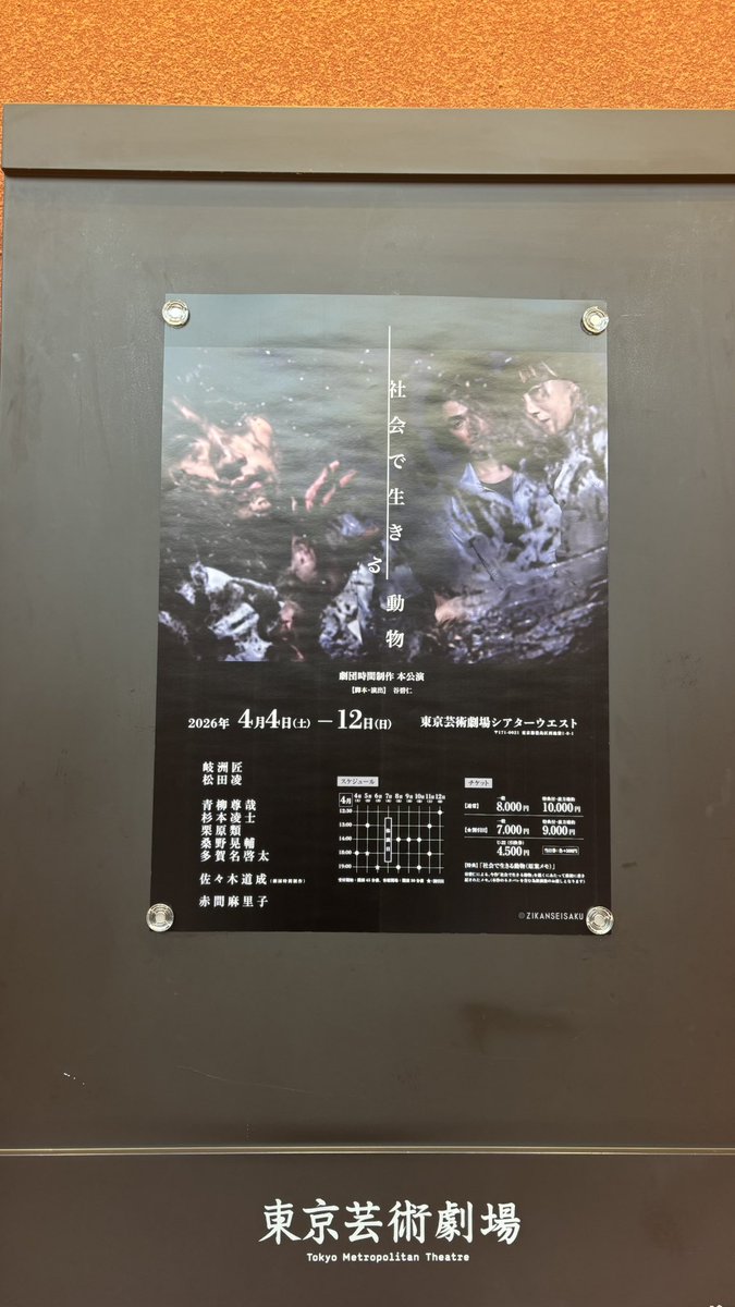 #社会で生きる動物
私の目標であり、大好きな劇団
今回も観劇してきました。
毎回、板の上の人間からの訴えを、目を背けられず真正面から向き合わされるそんな劇団。
今回も息の仕方を忘れてしまった。
観終わってからもずっと、色んなことに思考を巡らせてしまう。
答えはきっと出ないんだと思う