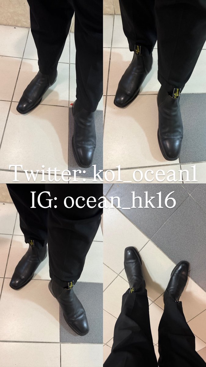 Ocean Ko tweet media
