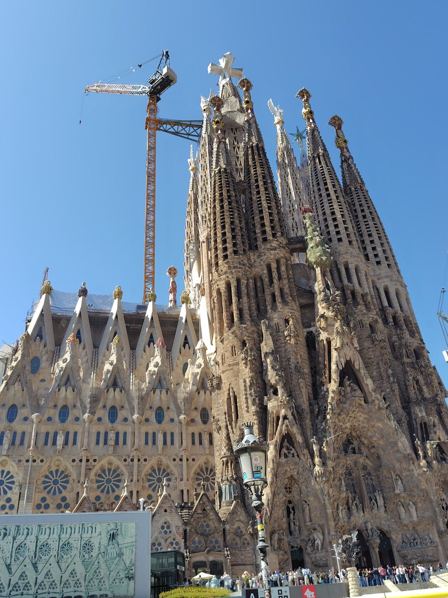 後藤みゆき tweet media