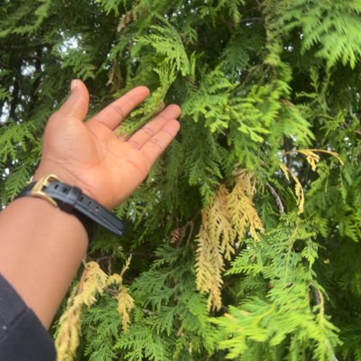 evalaporsh's tweet photo. Please welcome me back to the street of X. What did I miss?? #NewProfilePic https://t.co/f58RYnTkGY