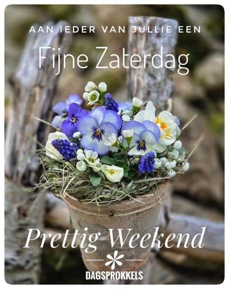 Rini van Son tweet media