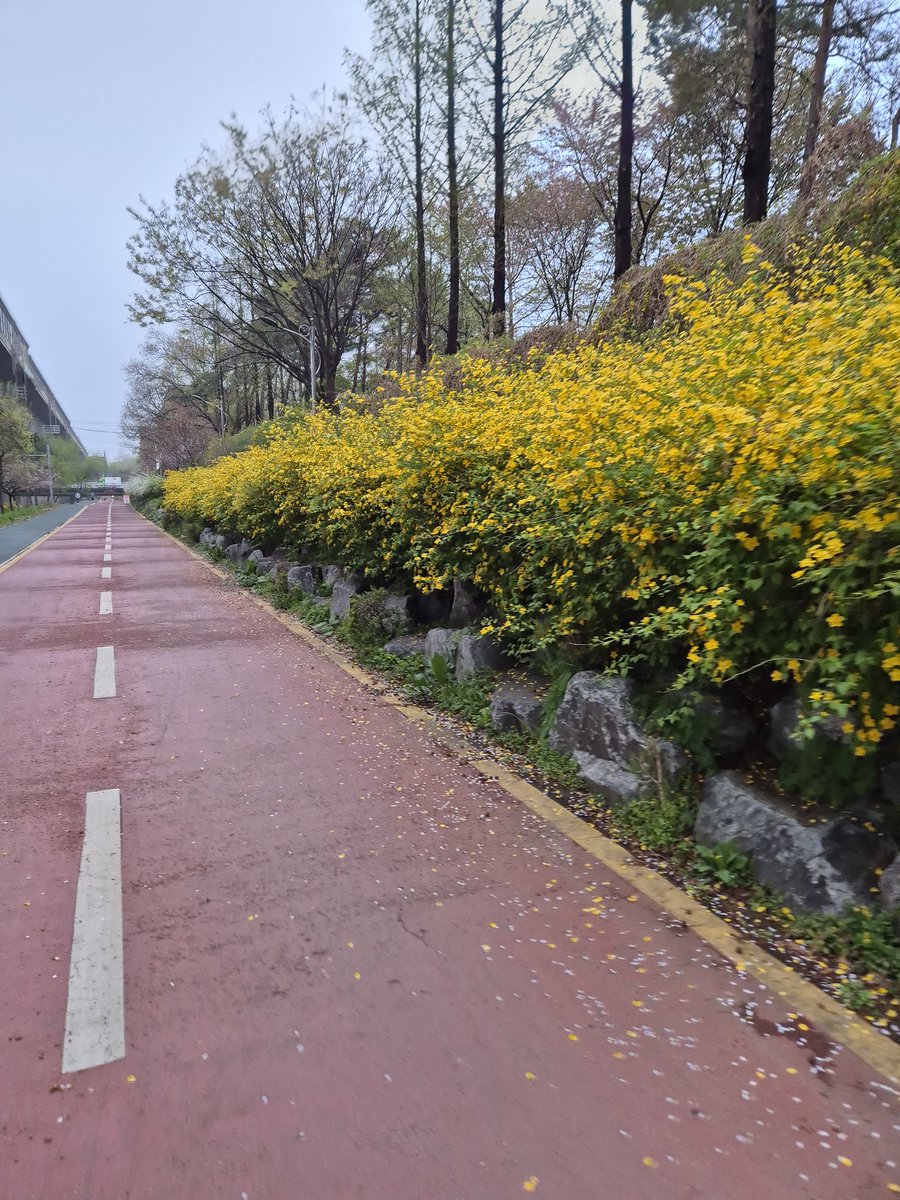 breadandroses99's tweet photo. [런데이] 4월 서대문 홍제천 홍제폭포 10km 아침 러닝
https://t.co/HQSL1Hy2Ab https://t.co/DUVNoLIQI6