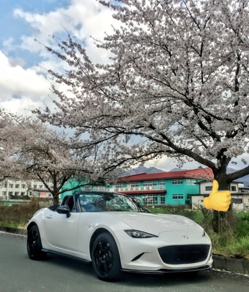 ココ&こじろー tweet media