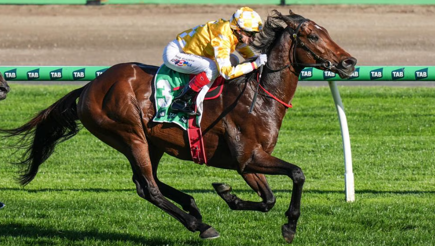 Jess Samy tweet media