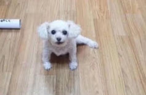 이판덕 tweet media