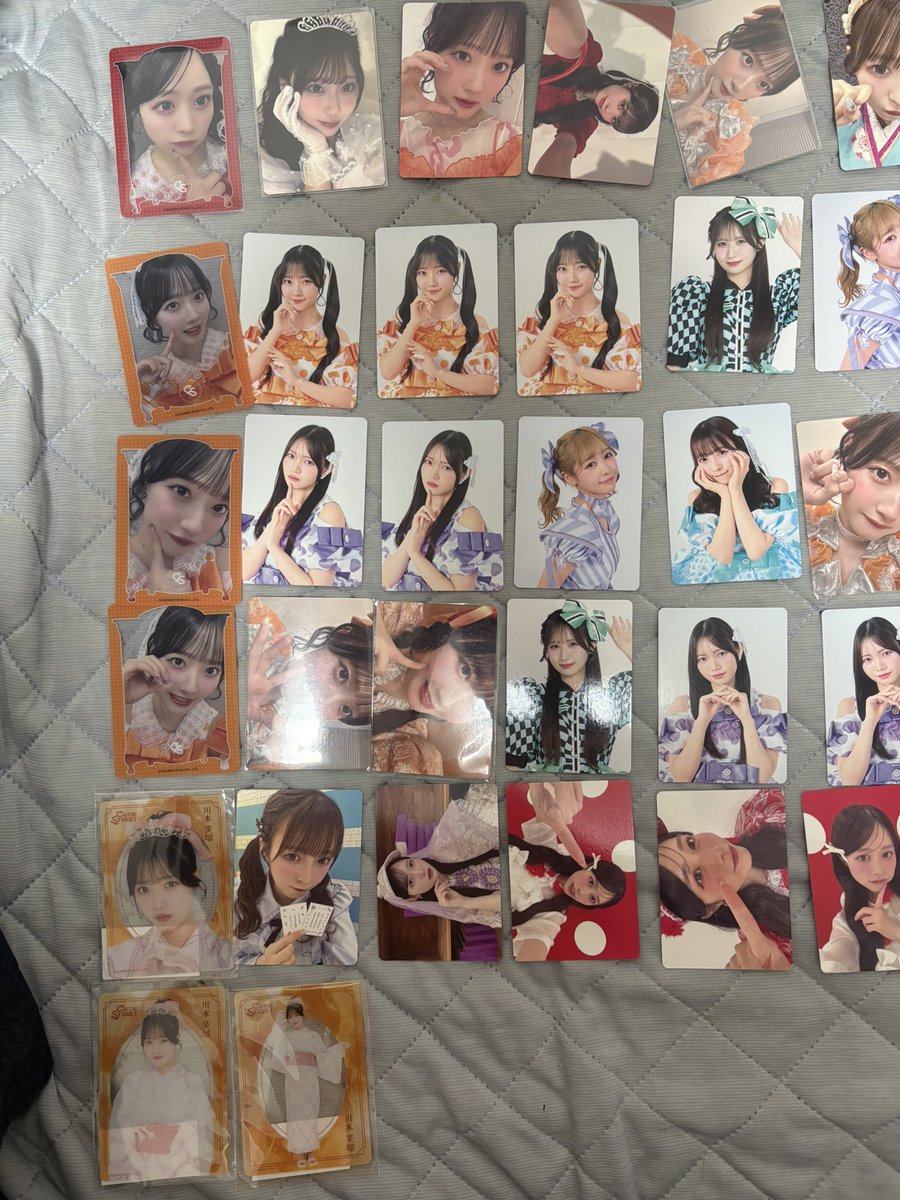 どんぐりプロテイン tweet media