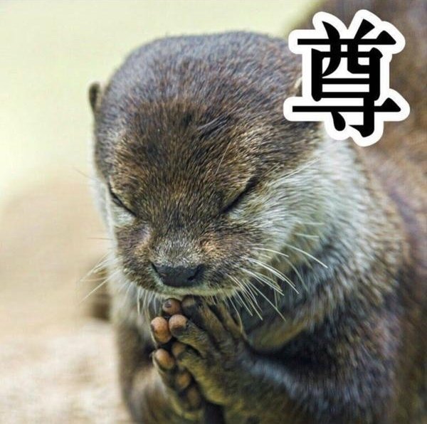 ソル・シエール tweet media