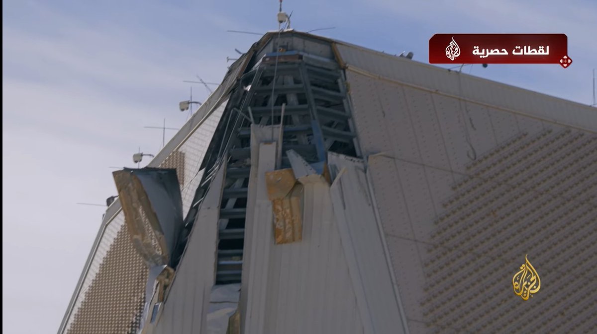 Elite Predators tweet media