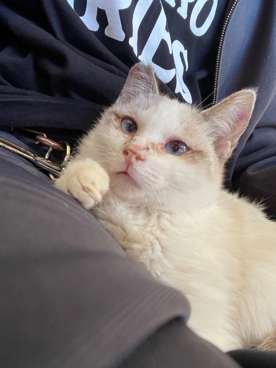 つな🐟 tweet media