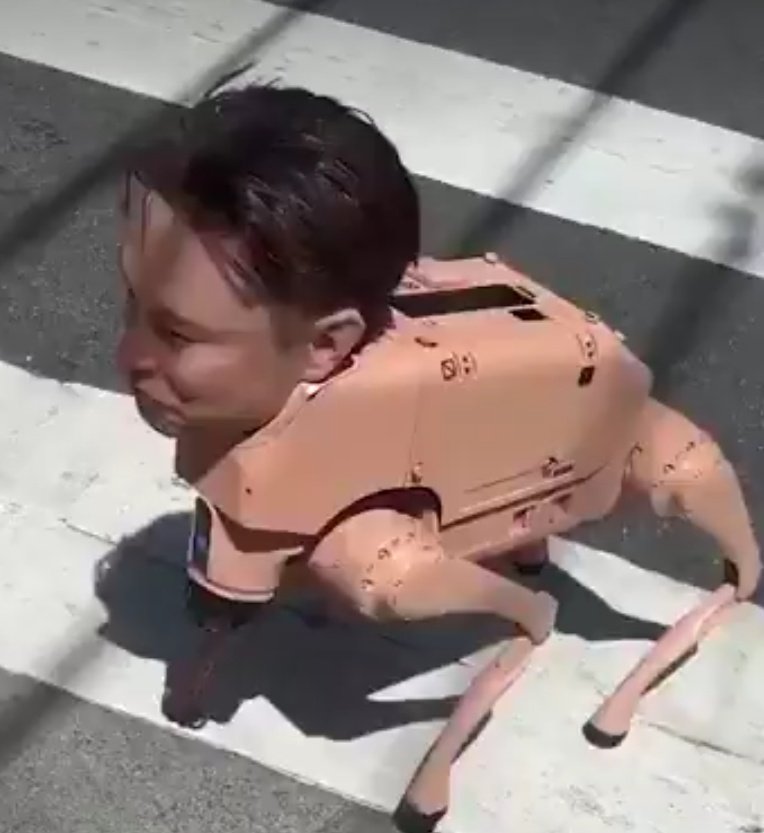 Cuckturd tweet media