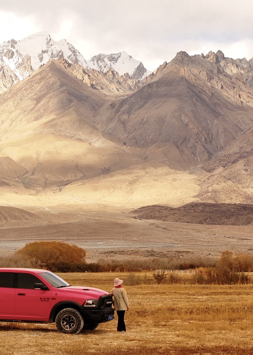 Emily Ann Rogers tweet media