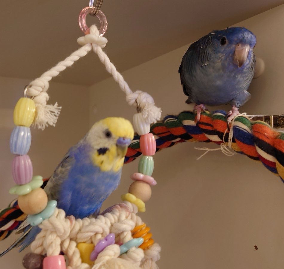 丸ちゃん tweet media