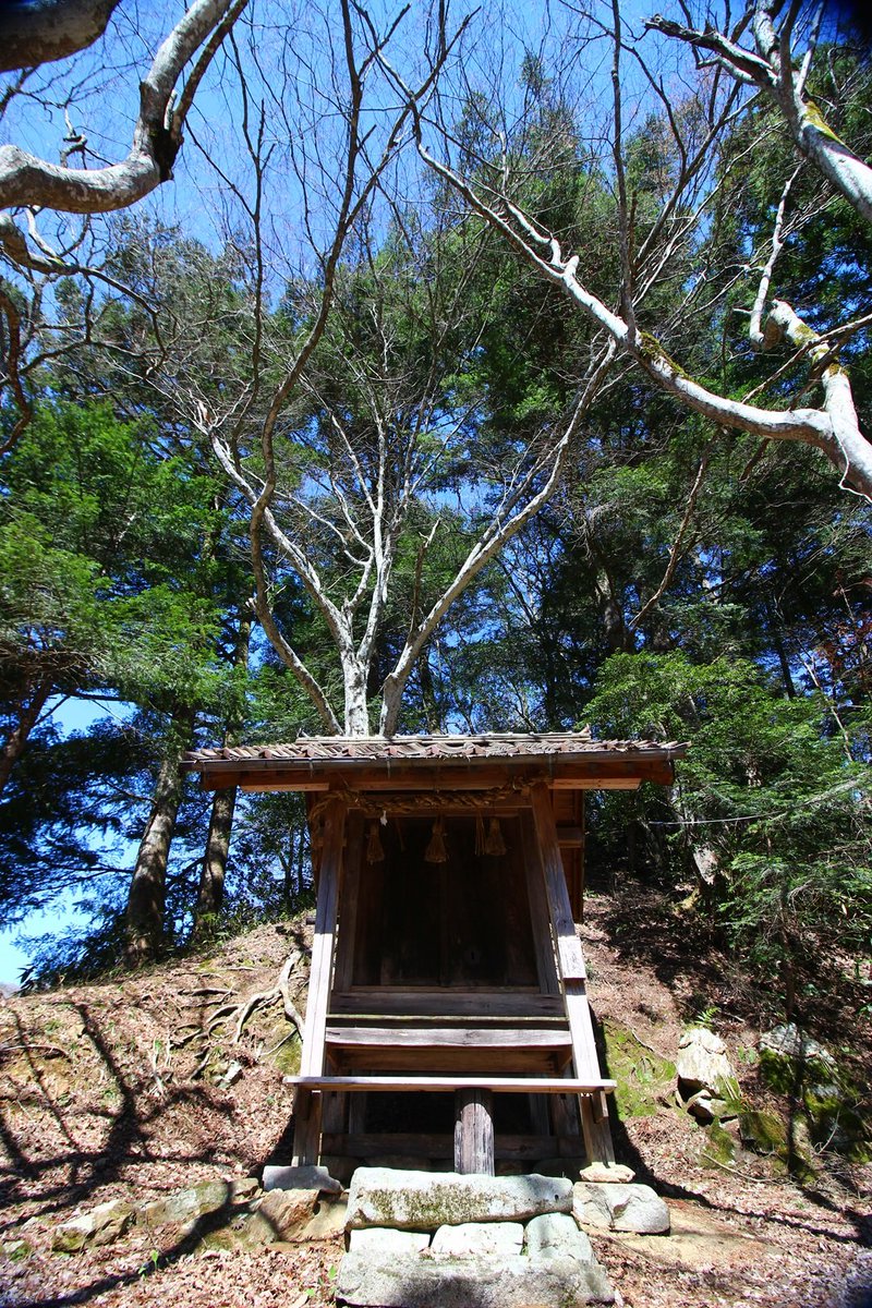 asianticjp's tweet photo. 島根県邑南町にある
国指定史跡・久喜銀山
大林にある山神社の鳥居が
新しくなっています⛩️
桜も満開🌸
秋にはもみじが美しい神社です🍁 https://t.co/UNufqJfmTM