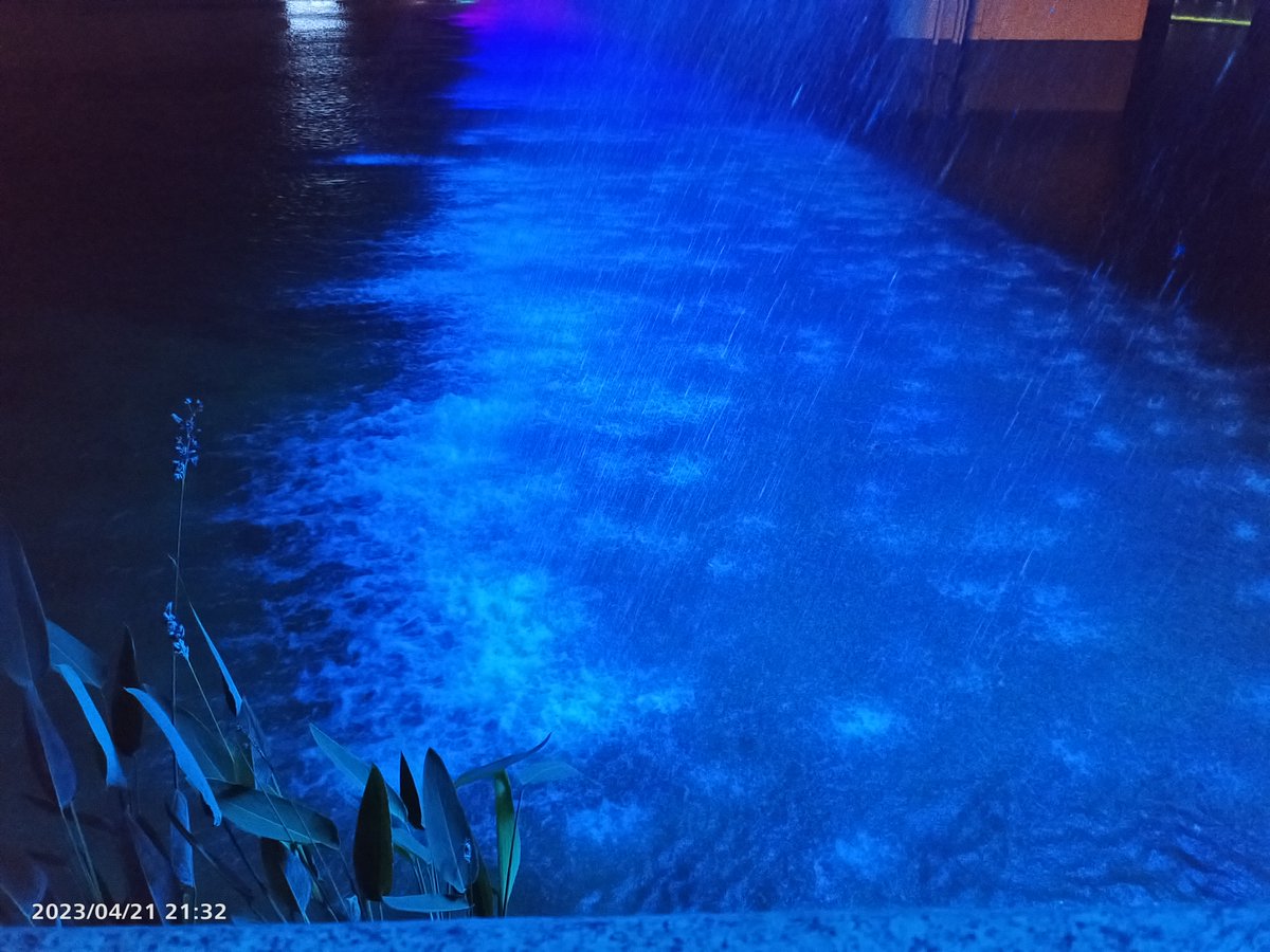 mojo blast tweet media