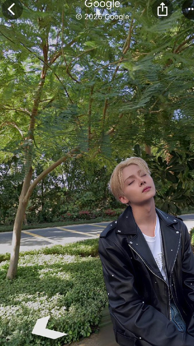 ₍ 𝐢. ₎ nth nonsense, rottenness, art. tweet media