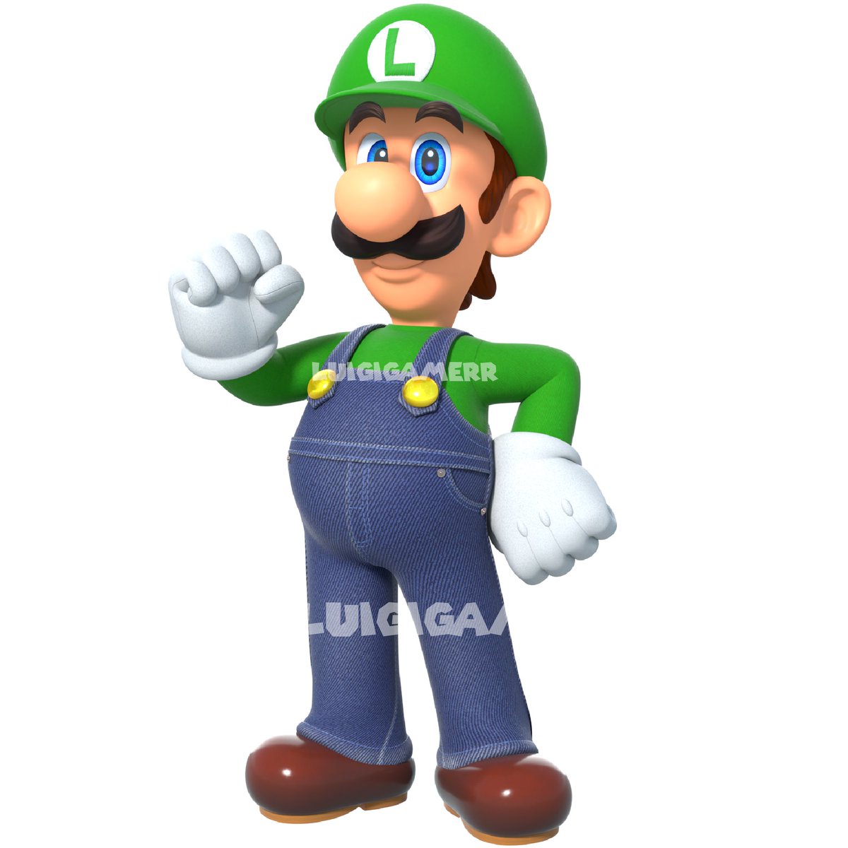 LuigiGamerrYT tweet media