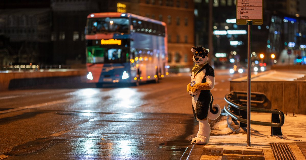 Apollo アポロ tweet media