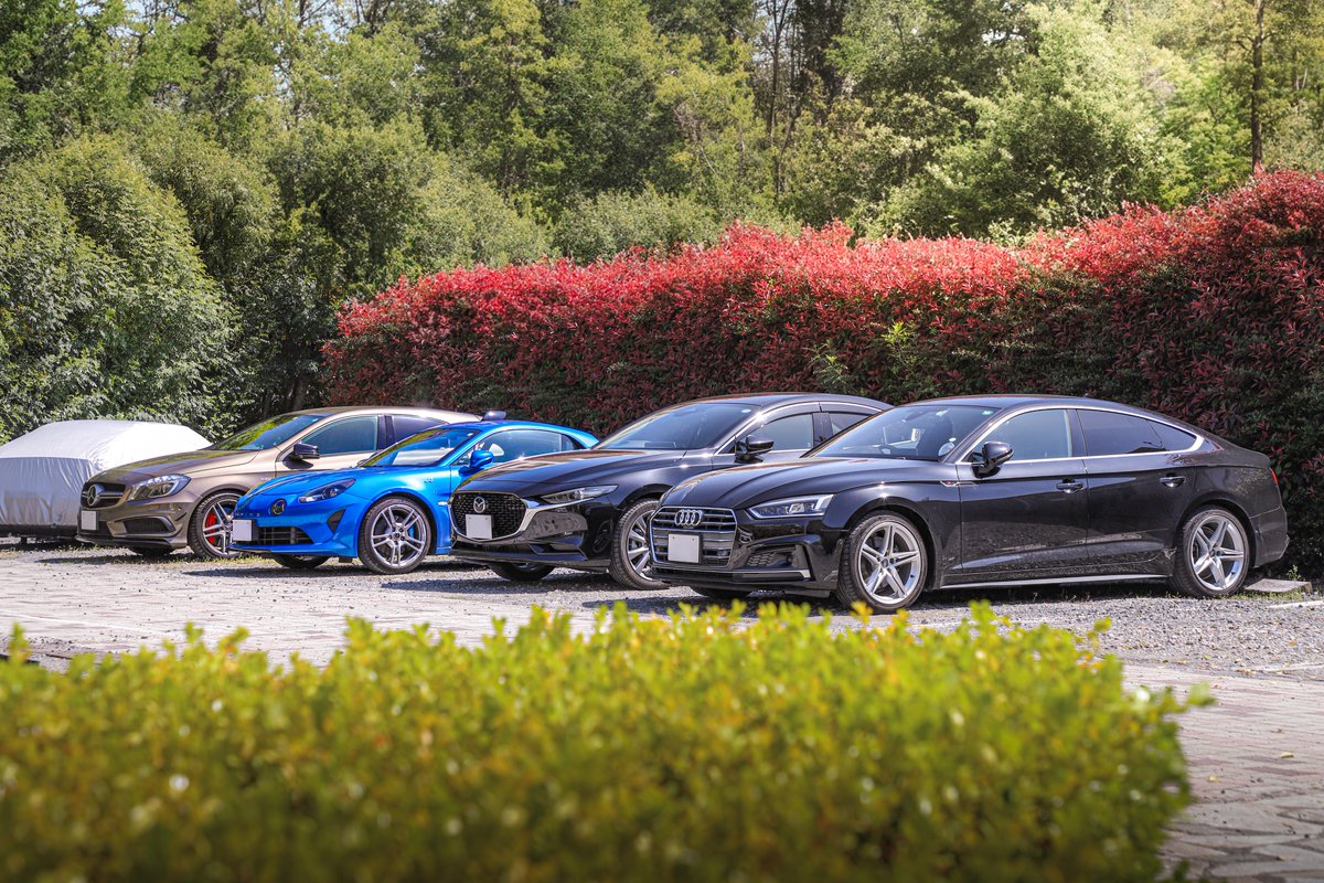 ピヌガヌ tweet media