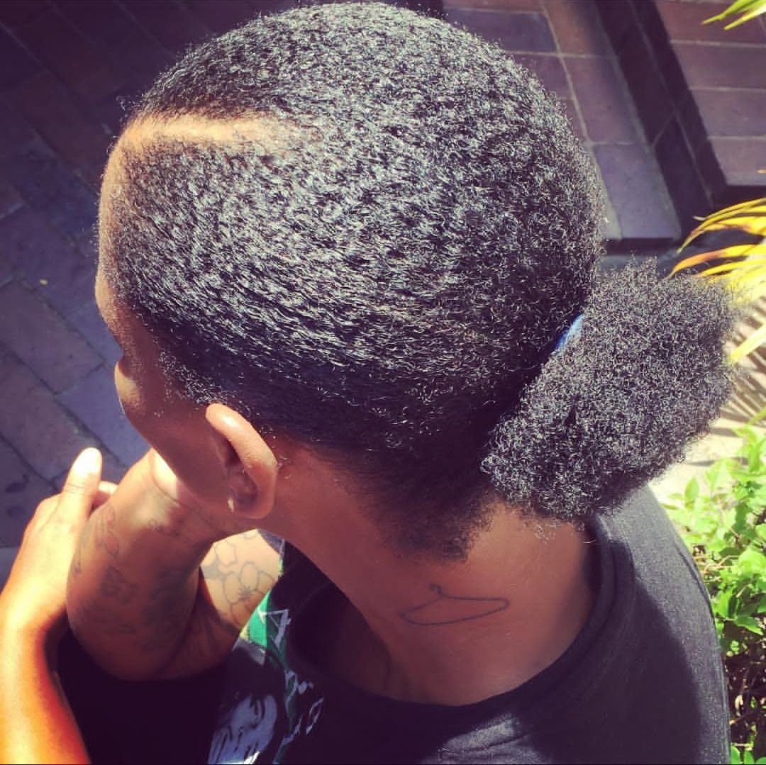 S H I B A™ tweet media