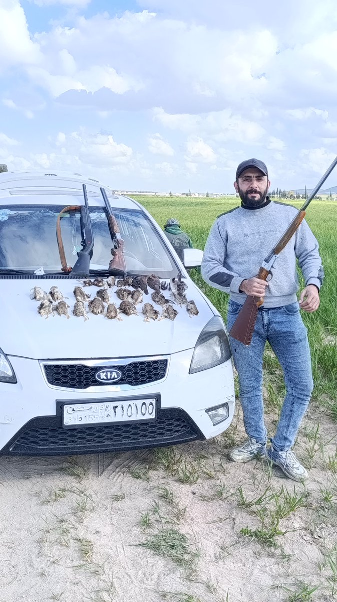 Mohamed Badr tweet media