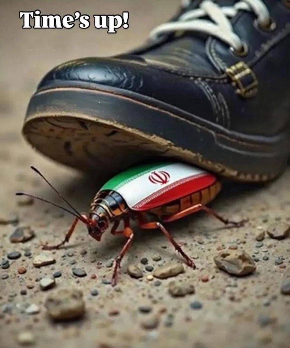 محمد الرفاعي tweet media