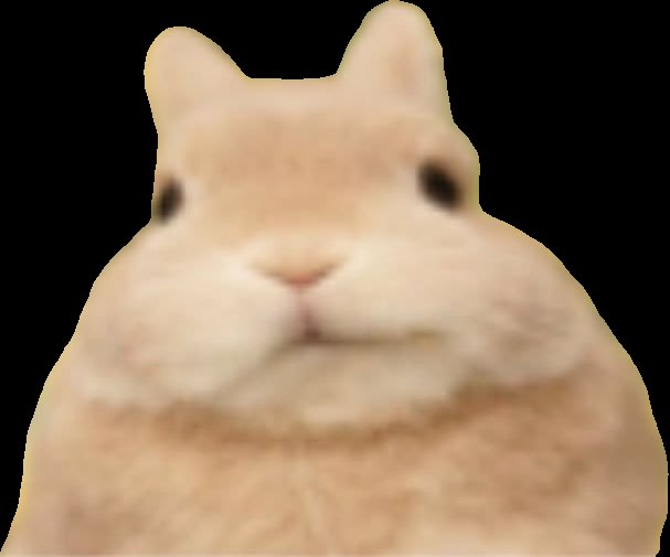 Comet || COMMS tweet media