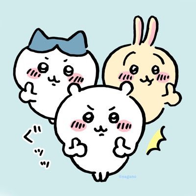 🦡あなぐま🦡 tweet media