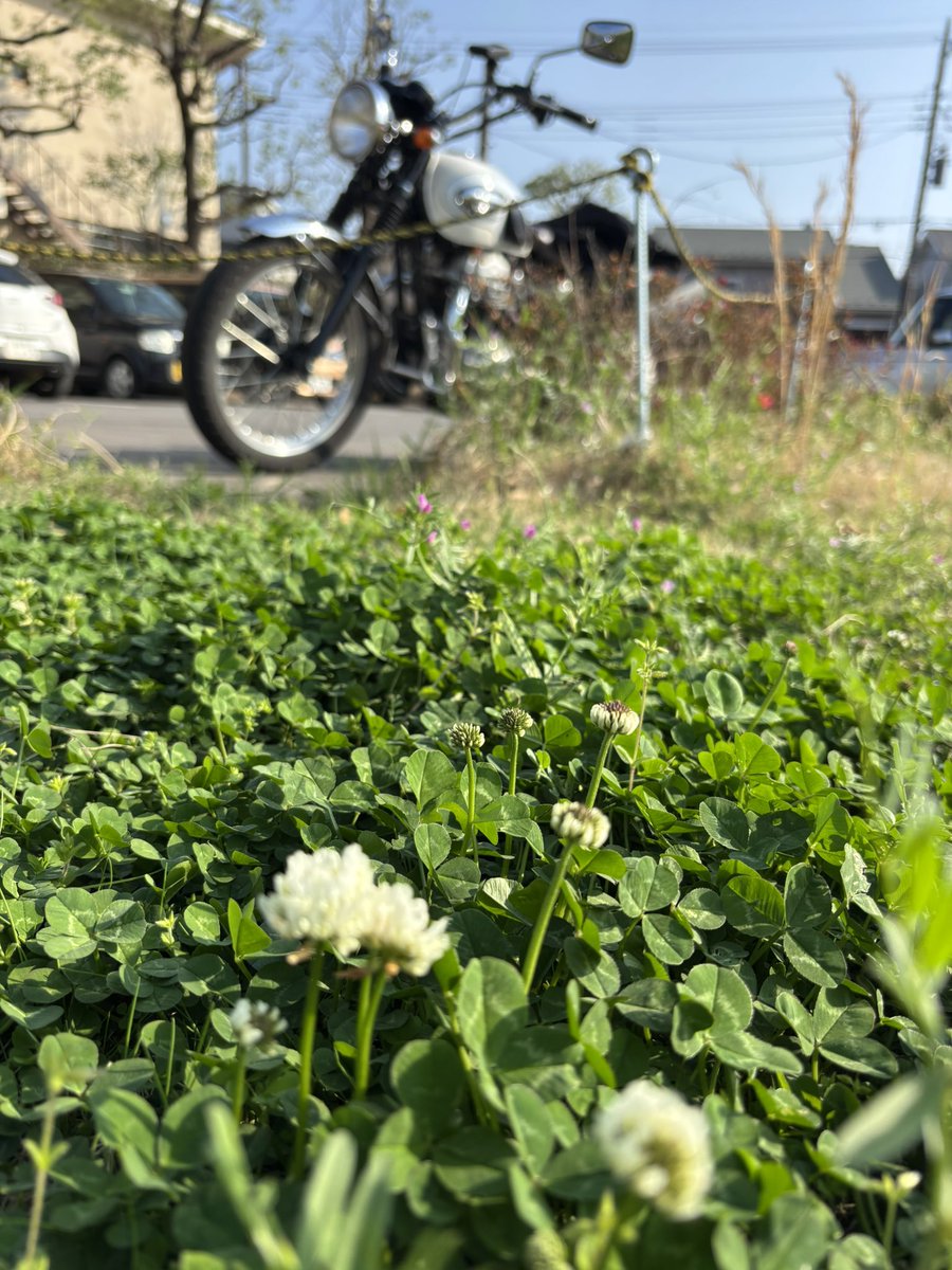 アポヤンド清水 tweet media