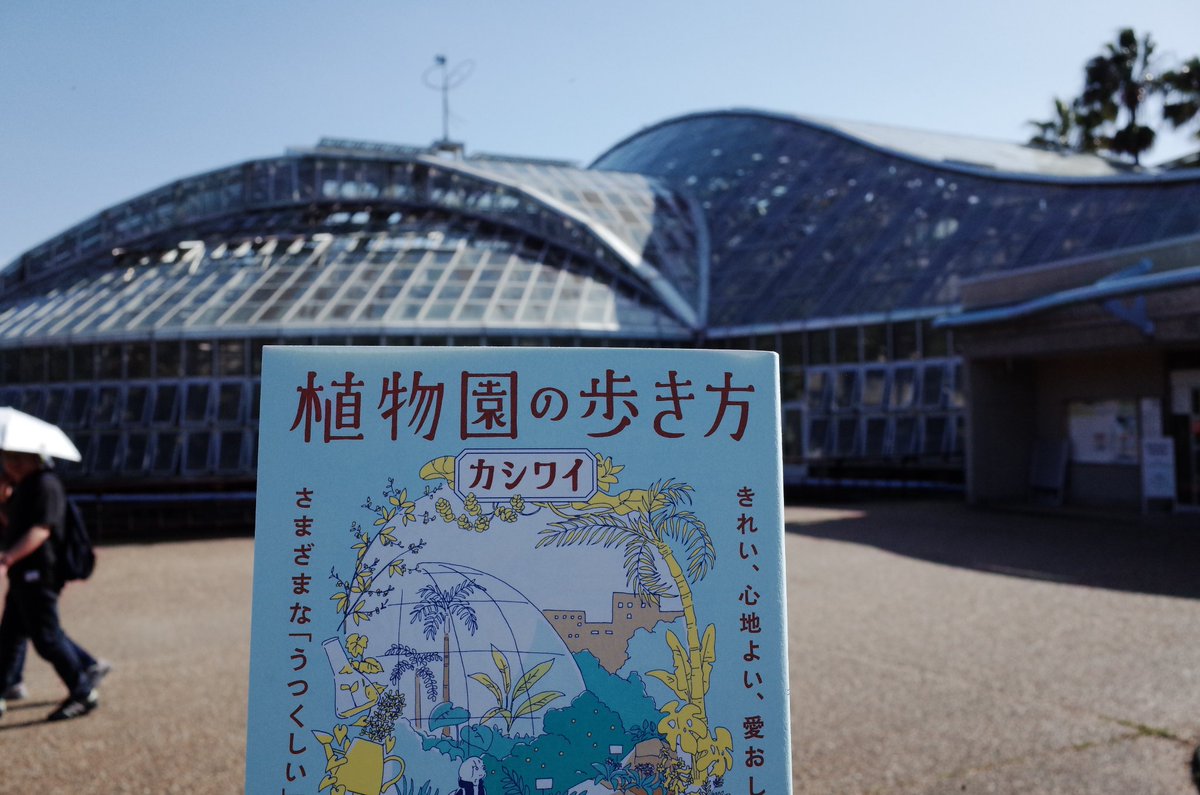 hikiwari tweet media