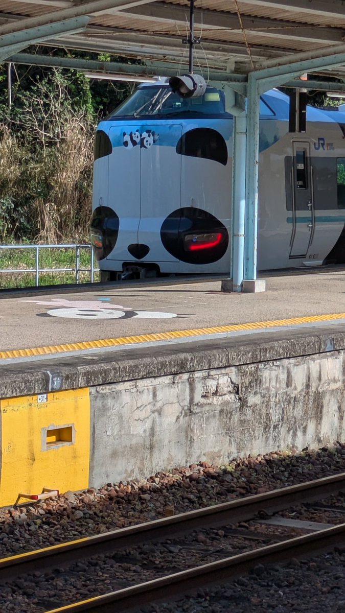 すこやかむいむい tweet media