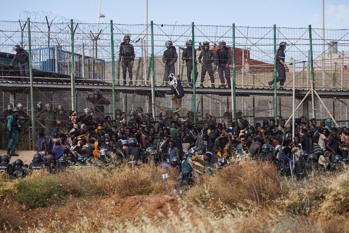 Carmen ن tweet media