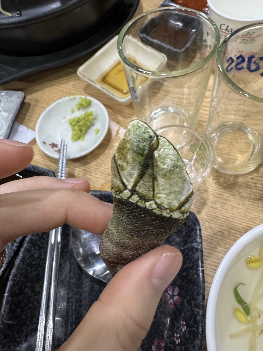 샤크몽키 tweet media