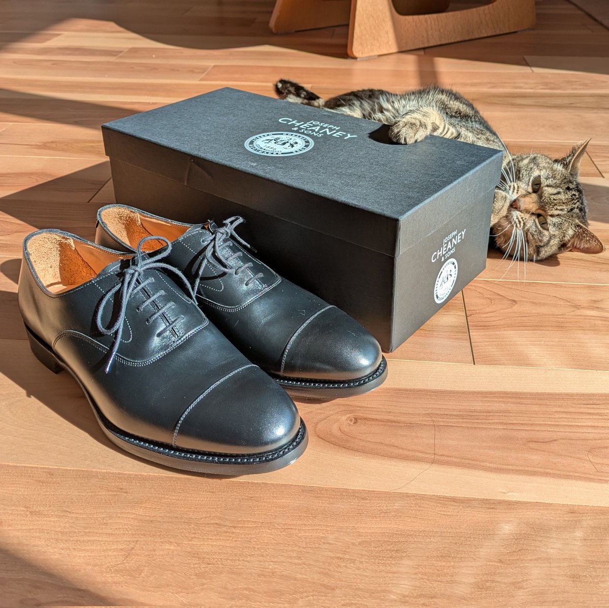 るるる tweet media