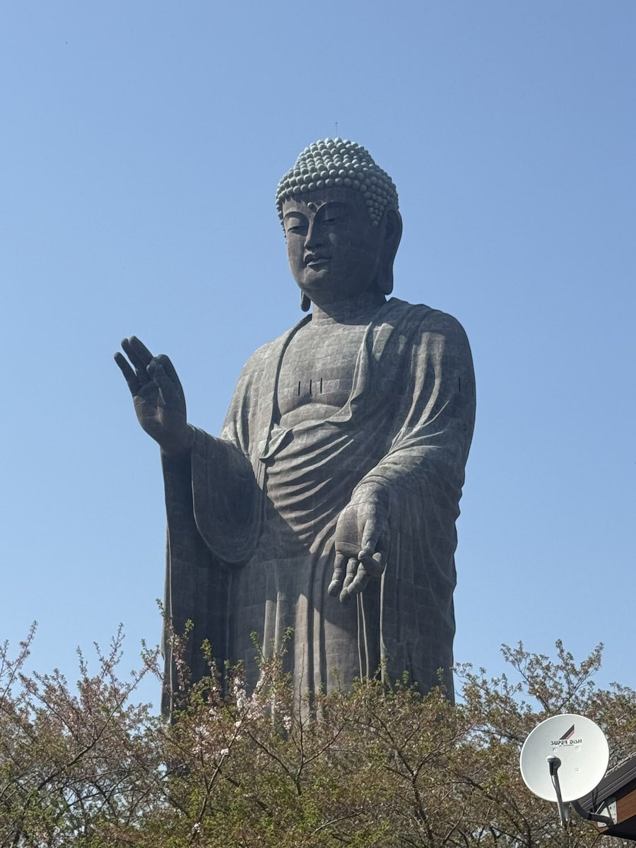 えっちょこ tweet media