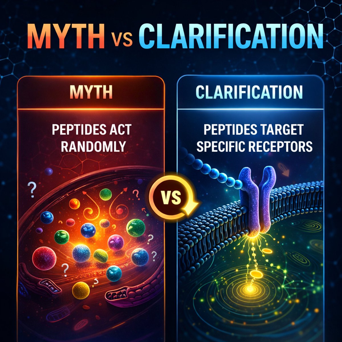 NTPeptides's tweet photo. 🔹Myth: peptides act randomly

Clarification: in research settings, peptides are studied as targeted signaling molecules interacting with specific receptors

https://t.co/SaPIYtKJWz https://t.co/9hpITPjMUS